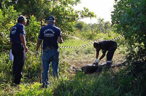 Corpo de mulher é localizado com as mãos amarradas em região de mata