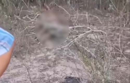 Corpo de mulher é encontrado seminu e com queimaduras no rosto