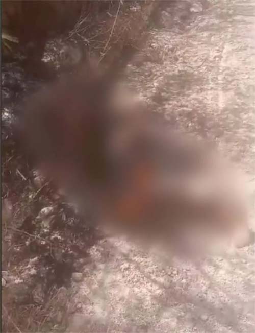 Corpo em chamas é encontrado em estrada vicinal no Sertão de Alagoas