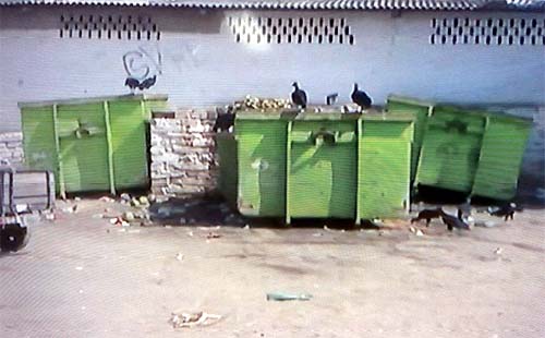 Corpo de jovem é encontrado em contêiner de lixo na Levada