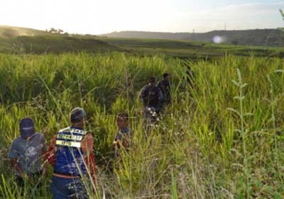 Agricultor encontra corpo em avançado estado de putrefação em matagal