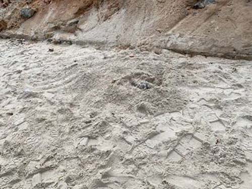 Corpo de mulher é encontrado em cova rasa na faixa de areia da praia do Francês