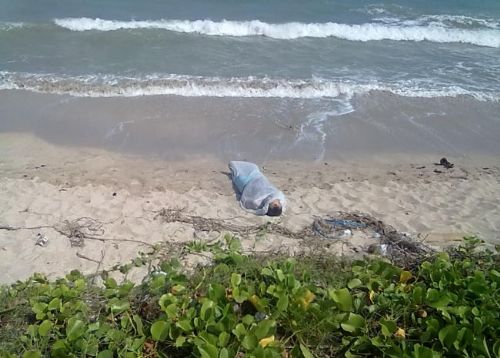 De cueca, homem é encontrado morto em praia de Maceió