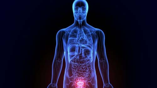 Para que serve a próstata e outras 6 coisas que você precisa saber sobre essa glândula masculina