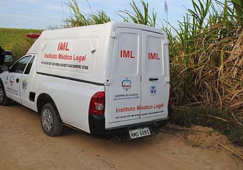 Cortadores de cana encontram ossada humana em canavial