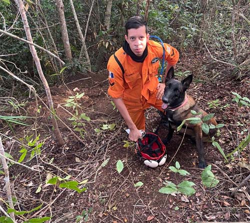 Encontrado cadáver enterrado em área de floresta no interior de Alagoas