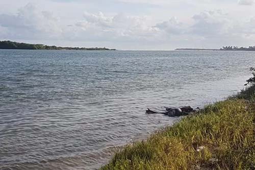 Corpo sem identificação é encontrado na Lagoa Mundaú, em Marechal Deodoro