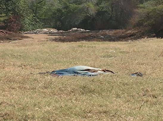 Corpo é encontrado com marcas de tiros e facadas às margens da Lagoa Mundaú