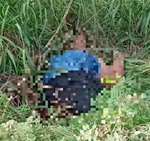 Corpo de mulher é localizado em área de vegetação ao lado de motocicleta em Jaramataia