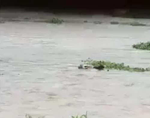 Corpo de mulher que caiu em ponte sobre o Rio Mundaú é encontrado