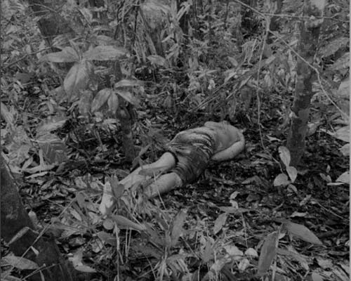 Bombeiros são acionados para resgatar corpo na zona da mata