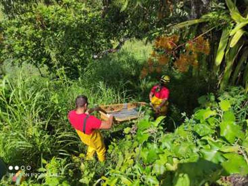 Corpo de homem é encontrado em rio na AL-101 Norte
