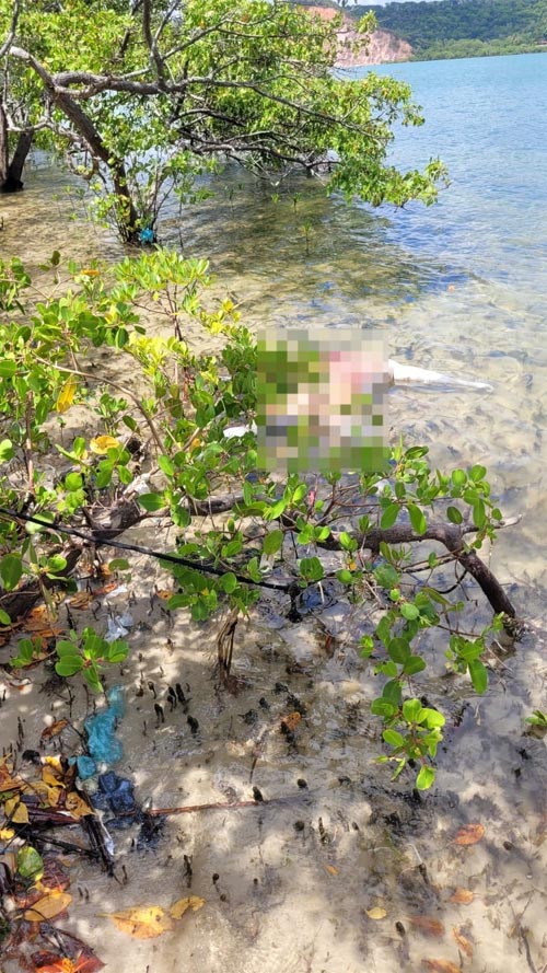 Corpo com marcas de tiros é encontrado na Praia do Gunga