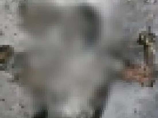 Homem é assassinado e tem corpo queimado em Piranhas, sogro é o principal suspeito