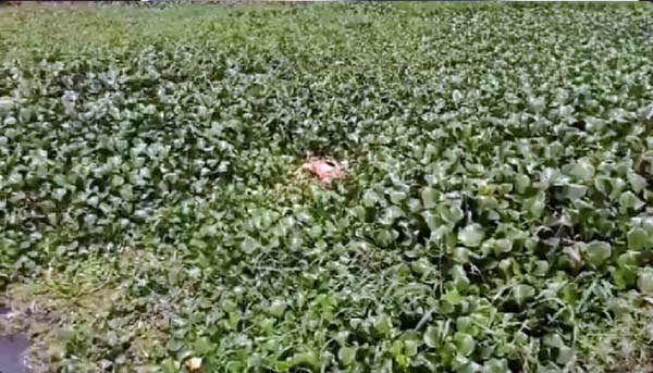 Corpo em estado de decomposição sem cabeça e braço é encontrado no Rio São Miguel