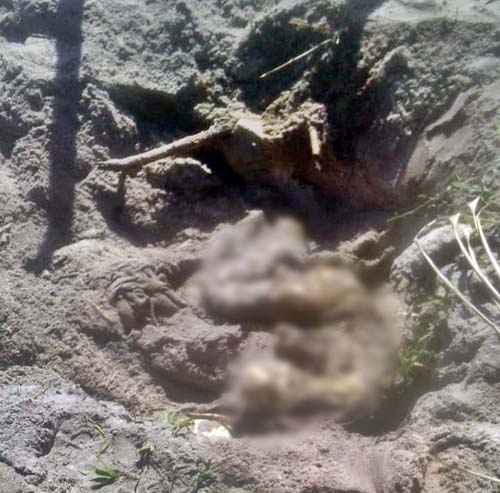 Corpos em estado de decomposição são achados em cova rasa no interior