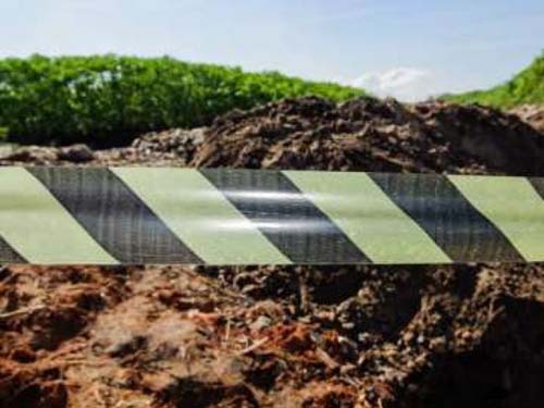 Homem é preso após polícia encontrar dois corpos nos fundos de residência em Penedo