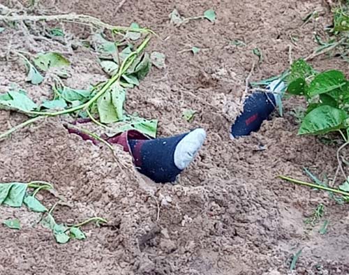 Corpo de jovem é encontrado soterrado com marcas de tiros, em Dois Riachos