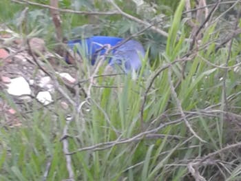 Corpo de taxista que estava desaparecido é encontrado em matagal, na parte alta de Maceió