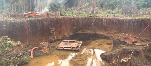 Corrupção prejudica combate às mudanças climáticas e coloca Brasil em pior posição no ranking da Transparência Internacional