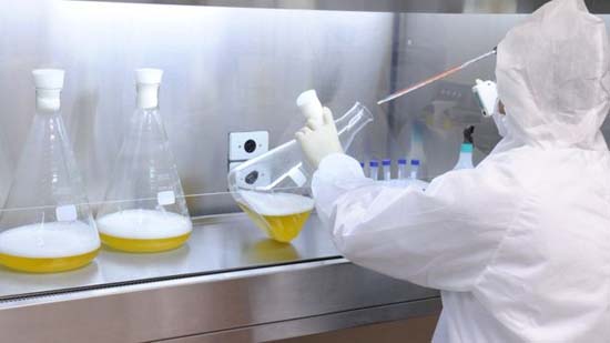 Corte de bolsas da Capes afetará vacinas, energia, agricultura e até economia, diz presidente da SBPC