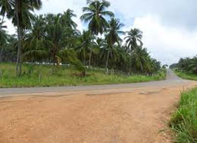 Acidente mata mulher e bebê de oito meses em Coruripe