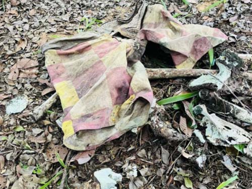 Ossada humana é encontrada em terras de fazenda no povoado Poxim, em Coruripe