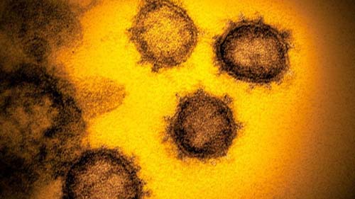 Enigma da pandemia: os genes que ajudam a entender por que algumas pessoas ficam mais doentes que outras