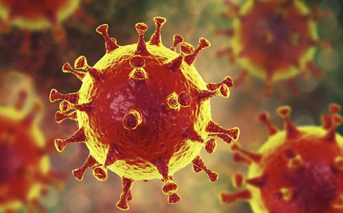 Alagoas registra 15 novos casos e duas mortes pela Covid-19 nas últimas 24 horas