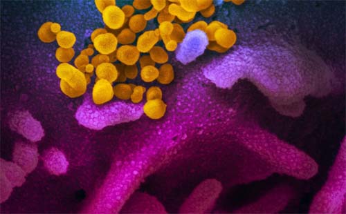 Alagoas tem nove novos casos de Covid-19 e não registra morte neste domingo (4)