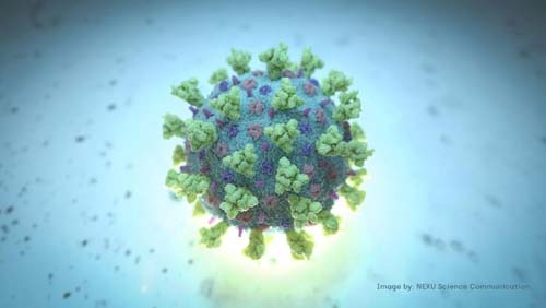 Gripe ou Covid? Médicos de países com surto da variante delta explicam por que sintomas se confundem e como agir caso apareçam