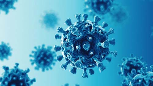 Aumento de casos, reinfecção e menor eficácia das vacinas: por que a variante do coronavírus detectada em Manaus preocupa o mundo
