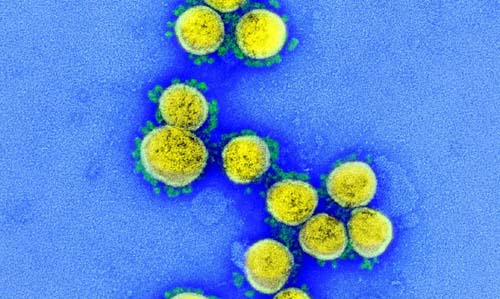 Taxa de transmissão da Covid-19 em AL é a maior desde o começo da pandemia