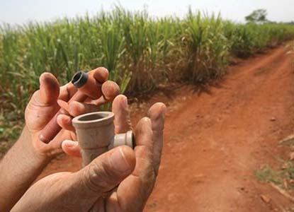 Crack: vício adquirido no corte de cana é espalhado para interior