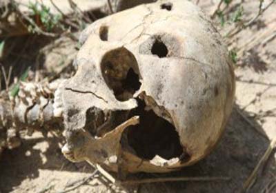 Ossada humana é encontrada com parte do crânio estourado