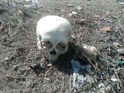 Agricultores acham crânio humano na zona rural de Santana do Mundaú