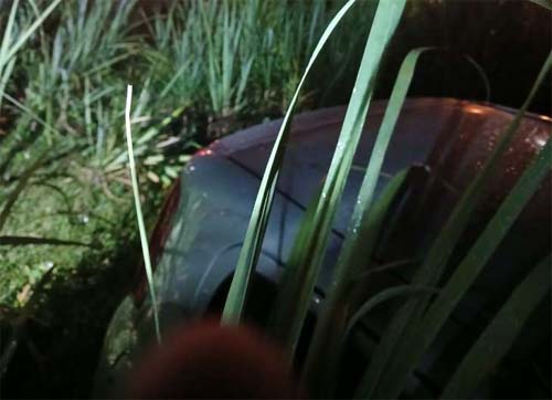 Homem é encontrado morto dentro de carro em canavial no Benedito Bentes