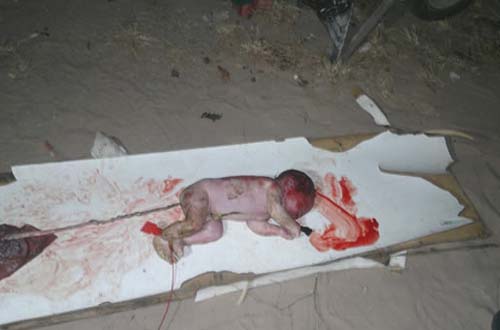 Recém nascido é encontrado morto no povoado Mucuri em Marechal Deodoro