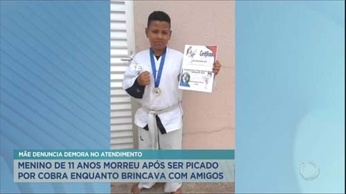 Menino de 11 anos picado por cobra morre em hospital na Grande SP