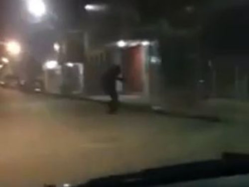 Vídeos de suposta criatura circulando por ruas de Pão de Açúcar viralizam nas redes sociais