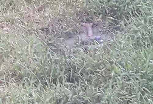 Jovem de 20 anos é morto a tiros na tarde deste domingo (29) em Arapiraca