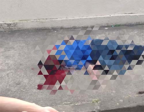 Jovem é executado com tiro na cabeça por grupo armado quando voltava do trabalho