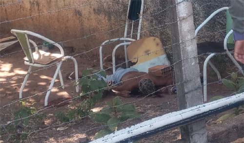 Cidade der Igaci registra segundo homicidio em menos de 12 horas