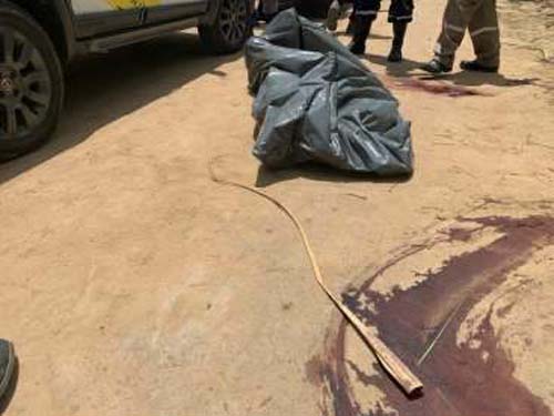 LGBT é encontrada morta em meio a canavial na região metropolitana