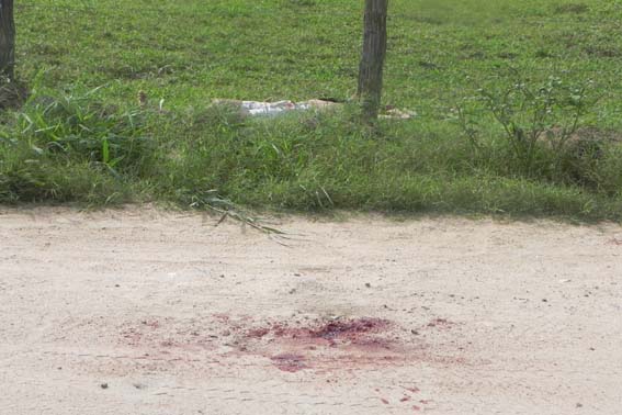 Mecanico de motocicletas é assassinado na zona rural de União dos Palmares