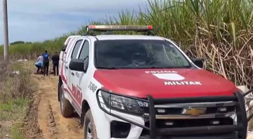 Mulher é morta com quatro tiros e corpo é localizado em canavial na Cachoeira do Meirim
