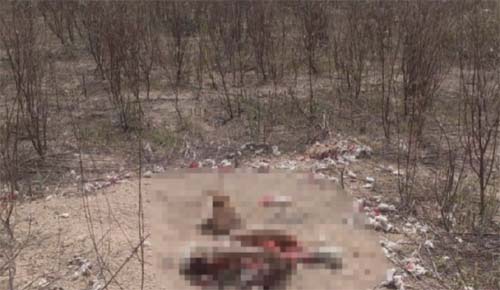 Populares encontram corpo esquartejado em conjunto habitacional de Delmiro Gouveia