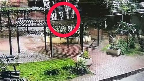 Vídeo mostra momento em que jovem é assassinado em banco de praça; namorado é preso