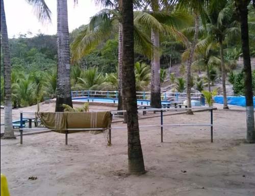 Idosa é assassinada e tem carro roubado por dupla criminosa