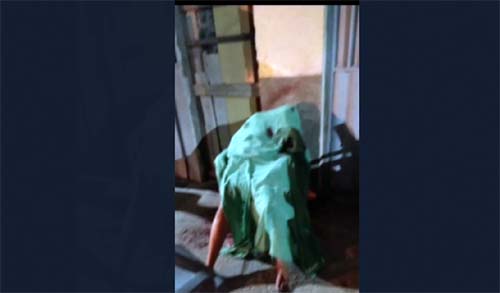 Mulher é executada na porta de casa em Batalha